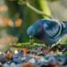 How to Care for Injured Wild Birds: Step-by-Step Guide 2026
